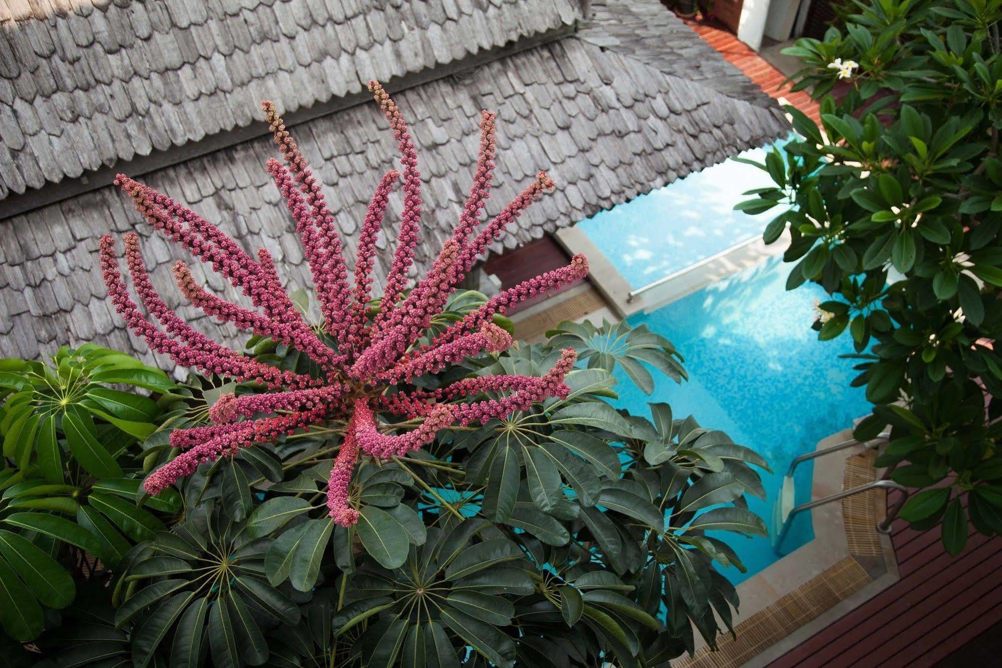 Charlie House Pin Klao Hotell Bangkok Eksteriør bilde